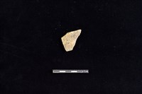 陶片藏品圖，第1張